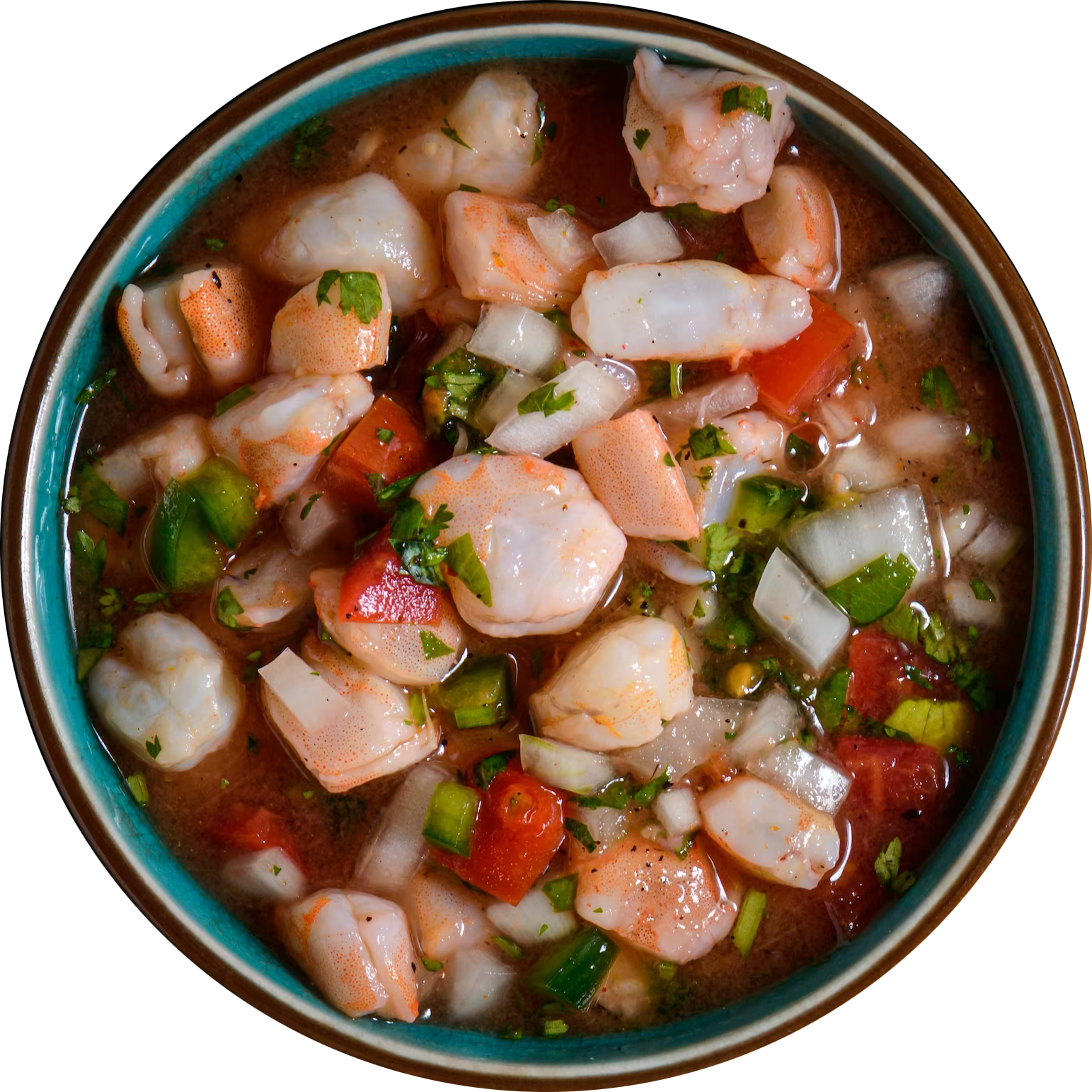 ceviche san salvador pescado camaron